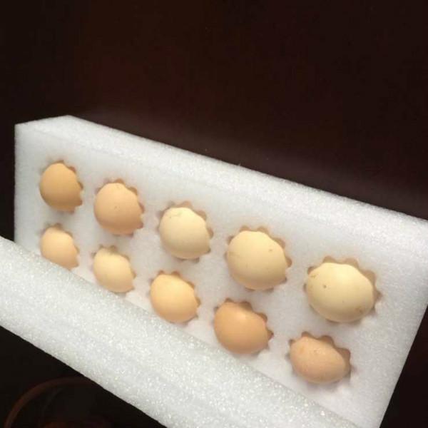 珍珠棉鸡蛋托包装型材